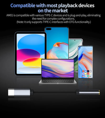 KZ AM01 Type-C to 3.5mm Audio Adapter 32bit/384kHz Hi-Fi DAC + IC Amplifier Dual Chip Earphone Audio Cable